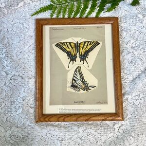 Vintage Wood Framed Butterfly Decor 8x10